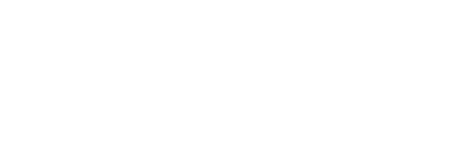 Visionary Compass